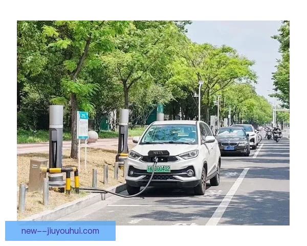 鲍姆加特纳在奥地利国家队战术体系中的完美契合与关键作用分析